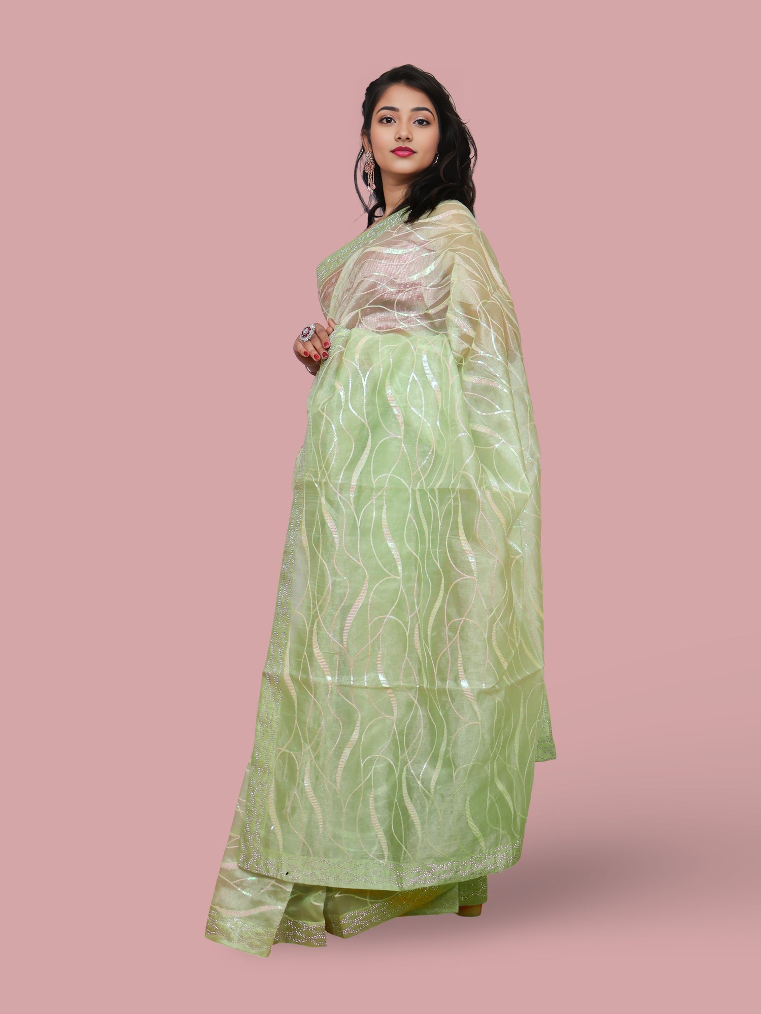 Designer Saree with Rhinestones & Heavy Sequin Work by Shreekama