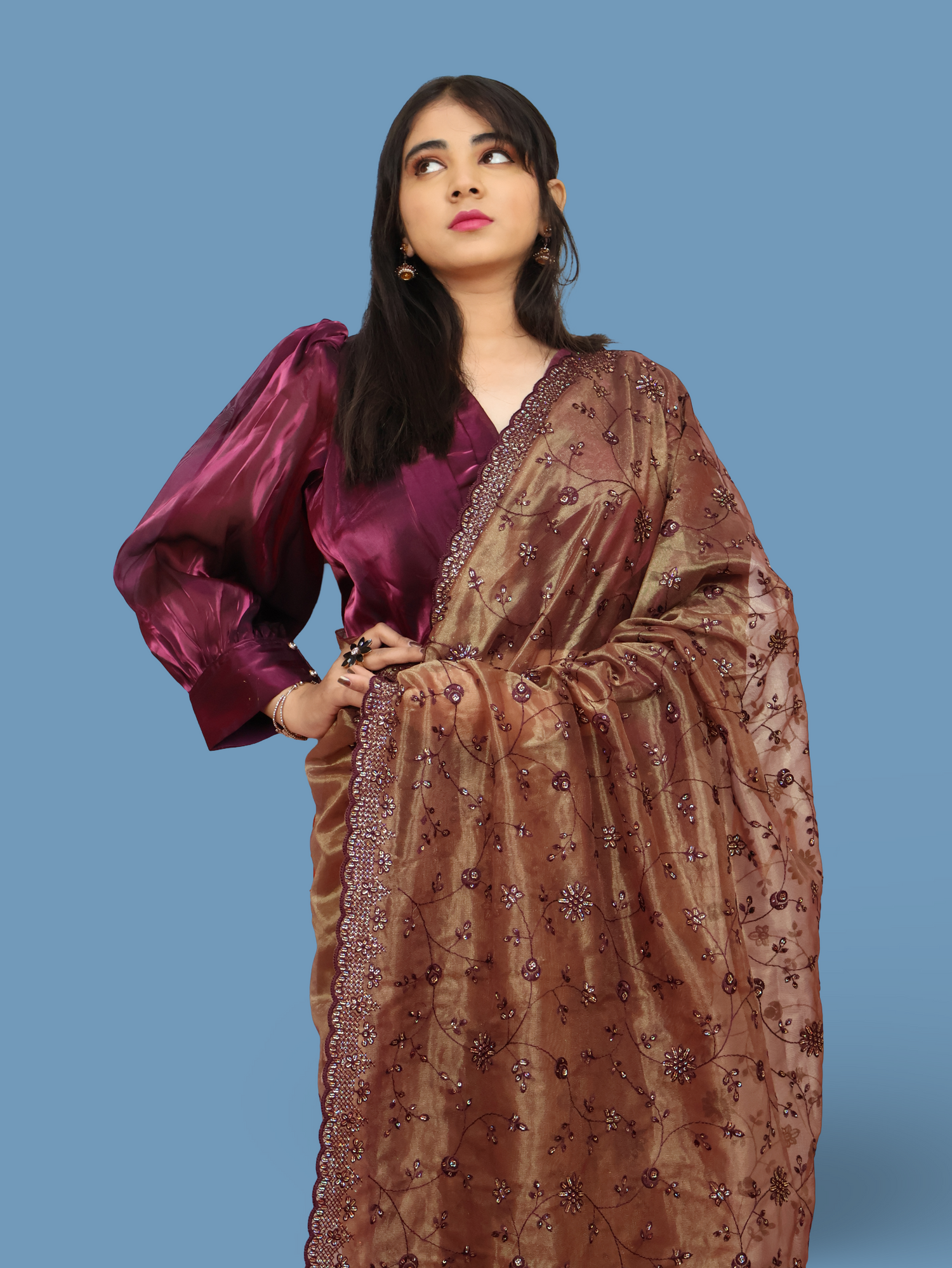 Designer Saree with Embroidery & Heavy Sequin Work by Shreekama