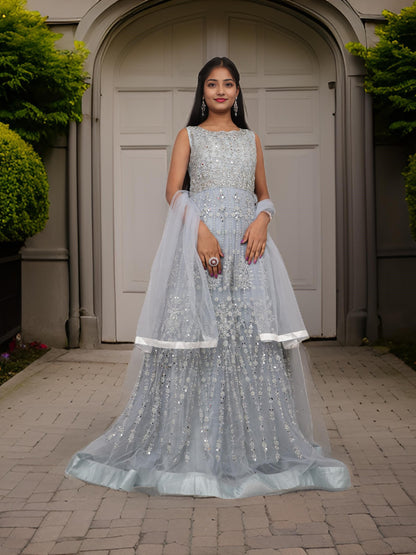 Net Fabric Gown with Pearl & Embroidery by Shreekama Net Fabric Gown with Pearl & Embroidery by Shreekama
